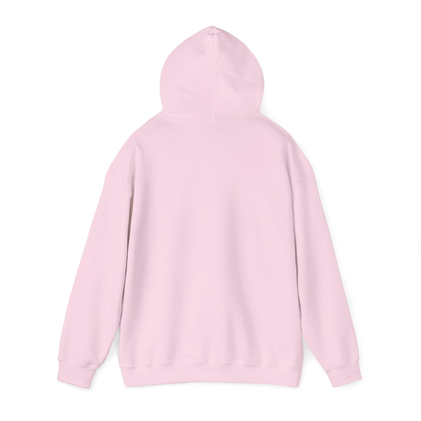 DASH Performance Horses Unisex Hooded Sweatshirt