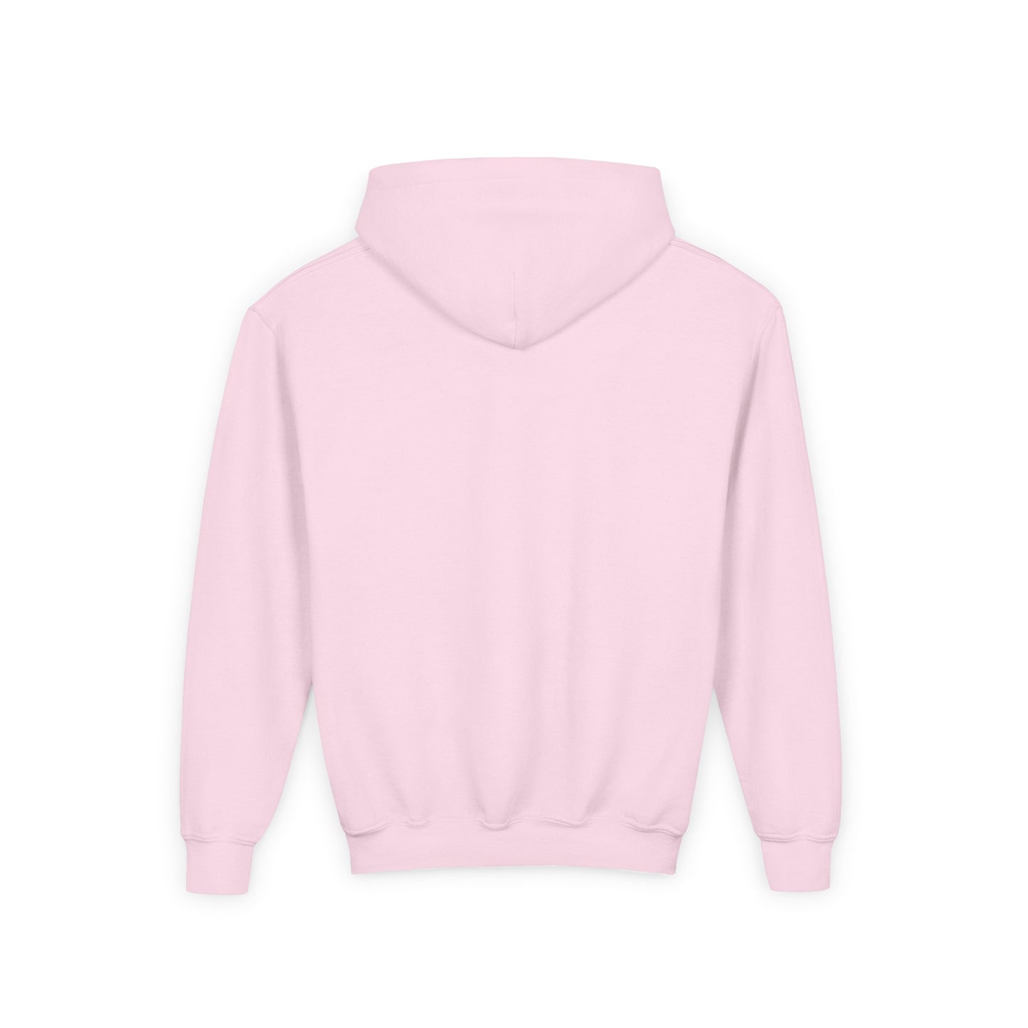 DPH Youth Hooded Sweatshirt