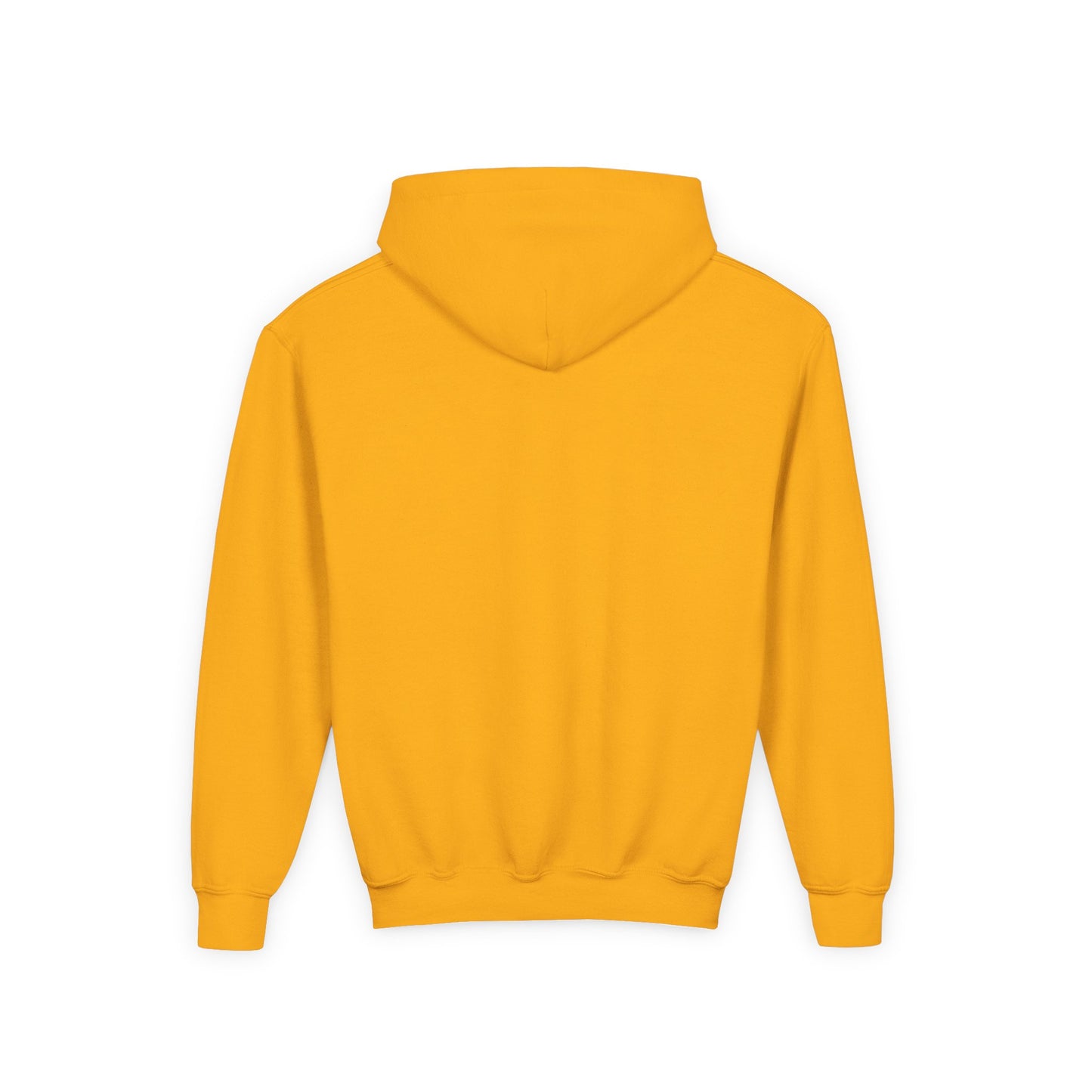 DPH Youth Hooded Sweatshirt