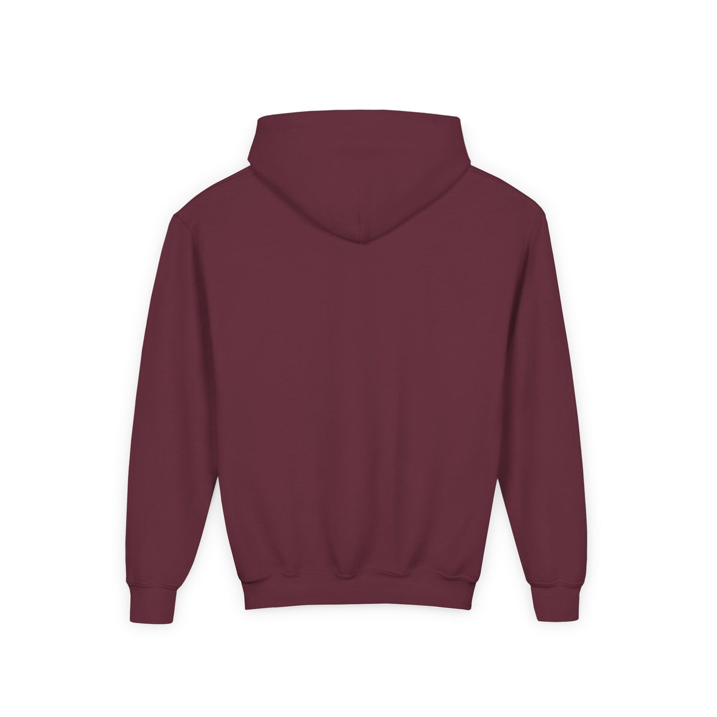 DPH Youth Hooded Sweatshirt