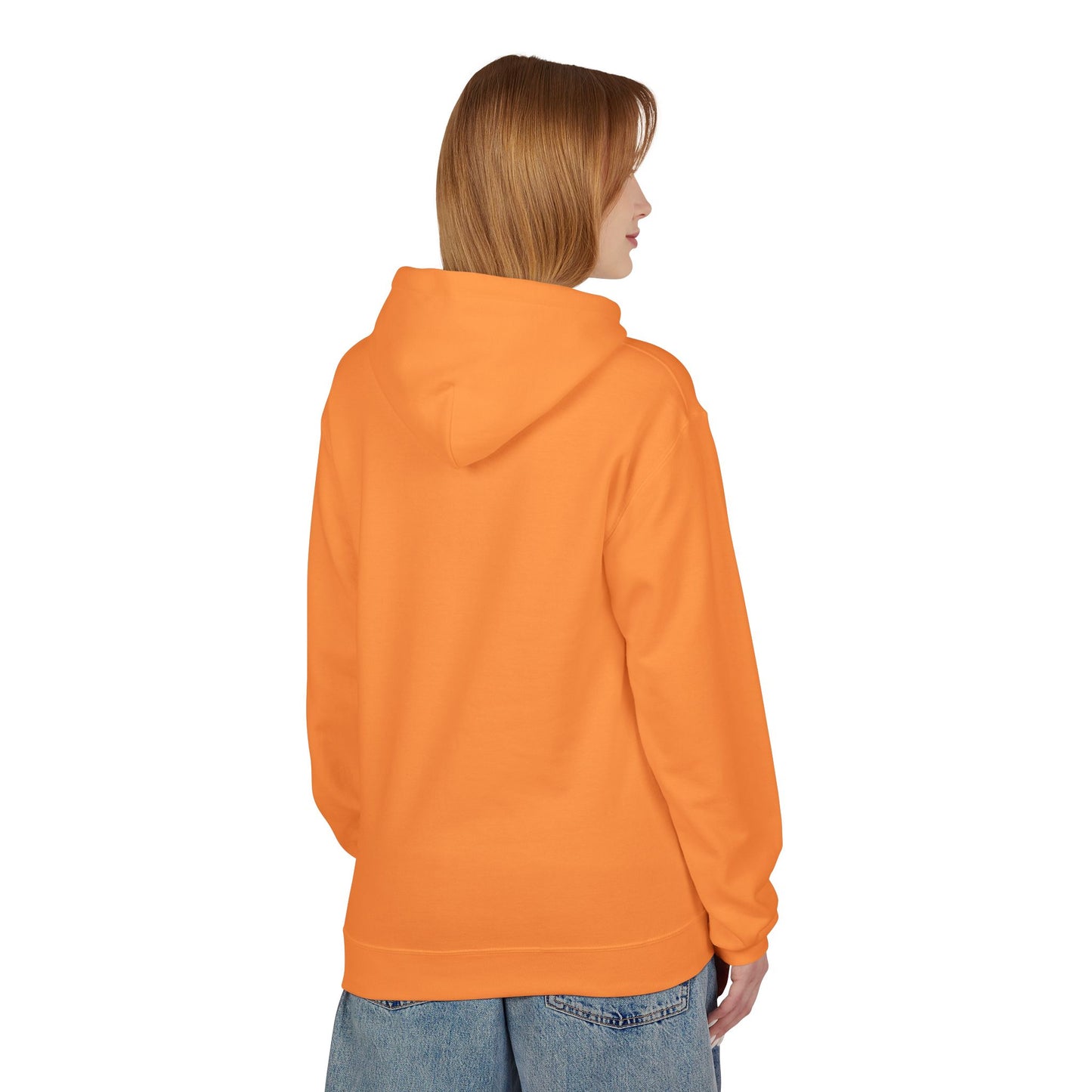 Devils Lake Farm Hoodie — Vintage Sunset Farm Pullover