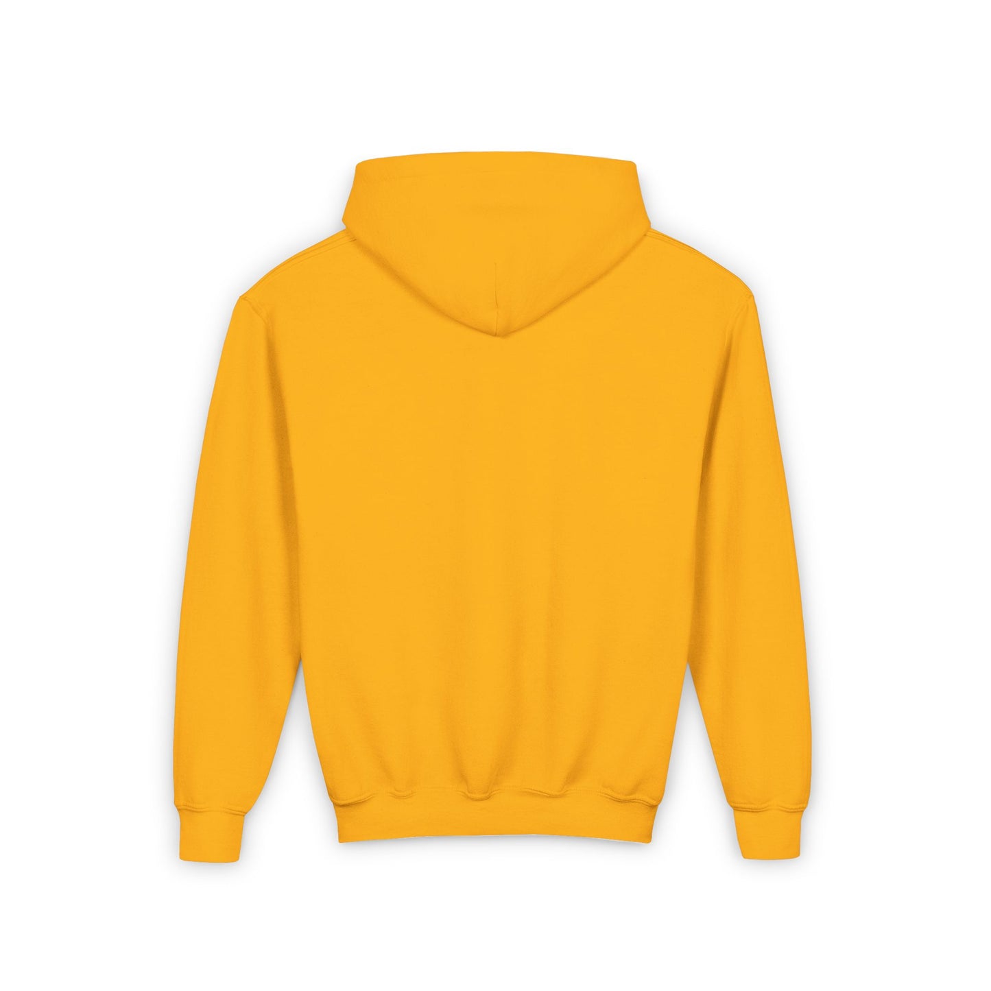 Dash Performance Horses Youth Hooded Sweatshirt