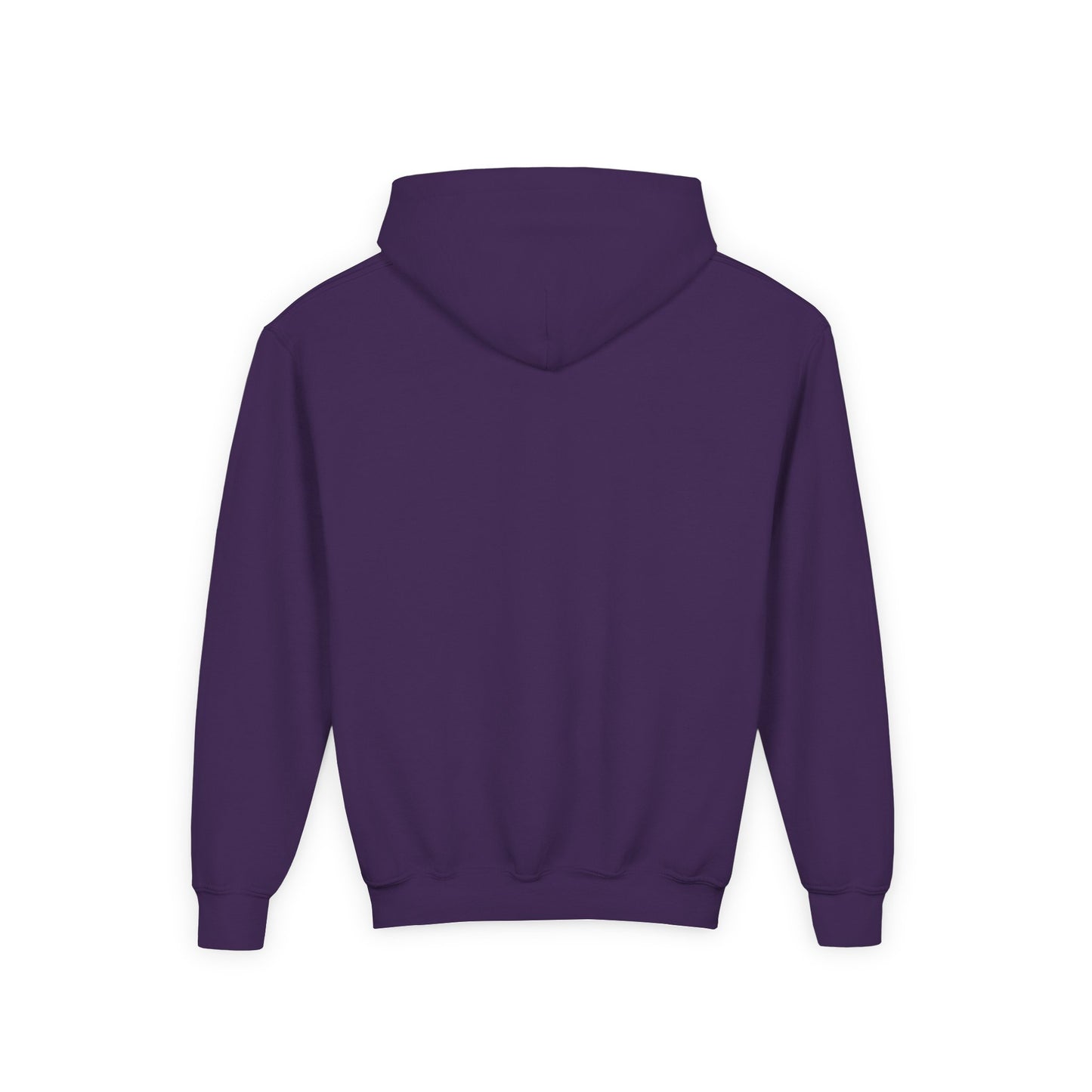 DPH Youth Hooded Sweatshirt