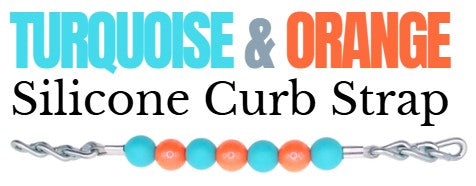 Turquoise & Orange Curb Strap